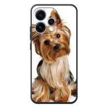 Чохол (ТПУ) Милі песики для OPPO Reno 15 – Пес Терьєр