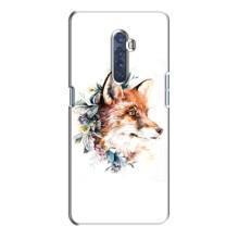 Чохли з картинкою Лисичка для Oppo Reno 2 (VPrint) (Лиса в квітах)