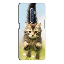 Чехлы с Котиками для Oppo Reno 2 (VPrint) (Прыжок кота)