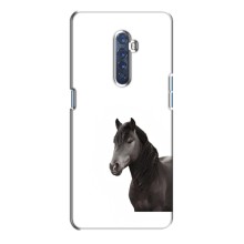 Чехлы с Лошадью дляOppo Reno 2 (VPrint) (Чорний кінь)