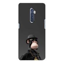 Чохли з Мавпами NFT для Oppo Reno 2 (AlphaPrint) (Мавпа NFT)