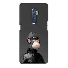 Чохли з Мавпами NFT для Oppo Reno 2 (AlphaPrint) (стильна мавпа NFT)