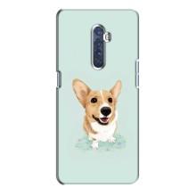 Чохли з собаками для Oppo Reno 2 (VPrint) (Коргі)