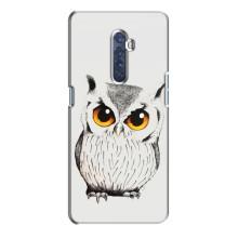 Чохол з пташками на Oppo Reno 2 (VPrint) (Мила Сова)