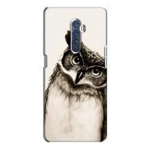 Чохол з пташками на Oppo Reno 2 (VPrint) (Сова)