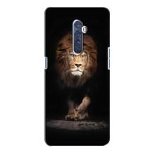 Чехол со Львом для Oppo Reno 2 (VPrint)