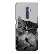 Чехол с рисунком кот на Oppo Reno 2 – Пара котов
