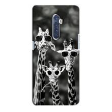 Силіконовий чохол з КАРТИНКАМИ літо для Oppo Reno 2 (AlphaPrint) (Жирафи в окулярах)