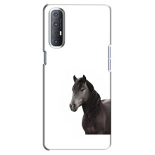 Чехлы с Лошадью дляOppo Reno 3 Pro (VPrint) (Чорний кінь)