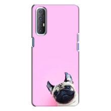 Чохли з собаками для Oppo Reno 3 (VPrint) (Смішна собака)