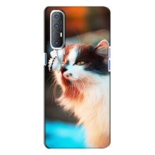 Чохол на OPPO Reno 3 з Котиками (VPrint) (Котик з метеликом)