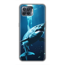 Чехол с картинкой «Хищники» для OPPO Reno 4 Lite – Акула
