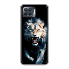 Чехол с картинкой «Хищники» для OPPO Reno 4 Lite – Лев
