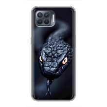 Чехол с картинкой «Хищники» для OPPO Reno 4 Lite – Змея