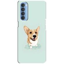 Чохли з собаками для Oppo Reno 4 Pro (VPrint) – Коргі