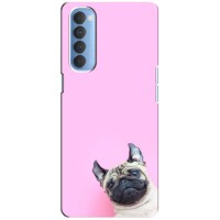 Бампер для Oppo Reno 4 Pro з картинкою "Песики" (Собака на рожевому)
