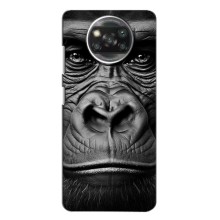 Чохли з Горилою на Оппо Рено 4 – Чорна мавпа