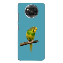 Силиконовый чехол с птичкой на Oppo Reno 4 – Попугайчик