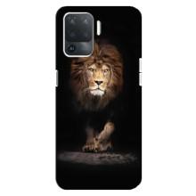 Чохол з картинкою ЛЕВ для OPPO Reno 5 Lite (VPrint) (Лев)
