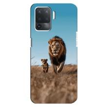 Чехол Король лев на Оппо Рено 5 Лайт – Мусафа и Симба