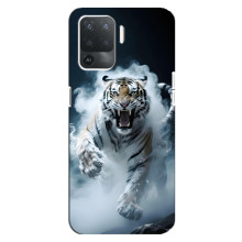 Чехол с картинкой «Хищники» для OPPO Reno 5 Lite – Тигр