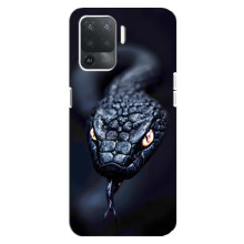Чехол с картинкой «Хищники» для OPPO Reno 5 Lite – Змея