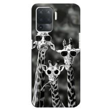 Силіконовий чохол з КАРТИНКАМИ літо для OPPO Reno 5 Lite (AlphaPrint) (Жирафи в окулярах)