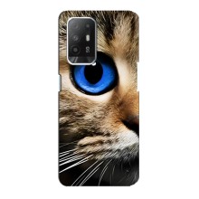 Чохли з Котиками для Oppo Reno 5z (VPrint) (Око кота)