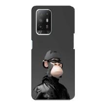 Чохли з Мавпами NFT для Oppo Reno 5z (AlphaPrint) (стильна мавпа NFT)
