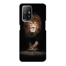 Чохол з картинкою ЛЕВ для Oppo Reno 5z (VPrint) (Лев)