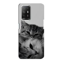 Чехол с рисунком кот на Oppo Reno 5z – Пара котов