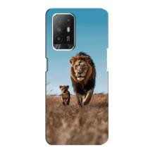 Чехол Король лев на Оппо Рено 5з (Мусафа и Симба)
