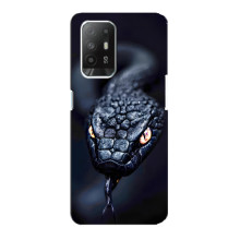 Чехол с картинкой «Хищники» для Oppo Reno 5z (Змея)