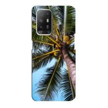 Силіконовий чохол з КАРТИНКАМИ літо для Oppo Reno 5z (AlphaPrint) (Пальма)