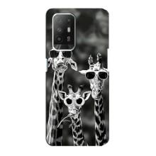 Силіконовий чохол з КАРТИНКАМИ літо для Oppo Reno 5z (AlphaPrint) (Жирафи в окулярах)