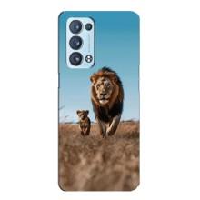 Чехол Король лев на Оппо Рено 6 Про Плюс – Мусафа и Симба