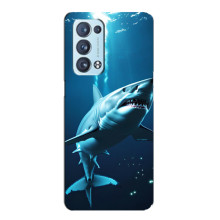 Чехол с картинкой «Хищники» для Oppo Reno6 Pro Plus 5G – Акула
