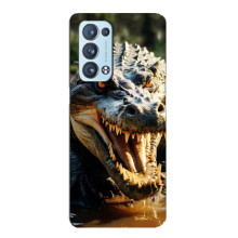 Чехол с картинкой «Хищники» для Oppo Reno6 Pro Plus 5G – Крокодил