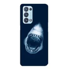 Силіконовий бампер з картинкою звірів для Oppo Reno6 Pro Plus 5G (Пащу Акули)