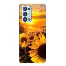 Чохол з Квітами для Oppo Reno6 Pro 5G (поле соняшників)