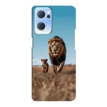 Чехол Король лев на Оппо Рено 7 (5G) – Мусафа и Симба