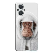 Чохли з Мавпами NFT для Oppo Reno7 Lite (5G) (AlphaPrint) (мавпа NFT в тату)