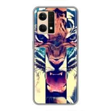 Чохли з зображенням різних тварин на Oppo Reno7 Pro 5G (Яскравий Тигр)