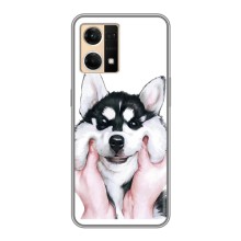 Чохли з собаками для Oppo Reno7 4G (VPrint) (Радісний Хаскі)