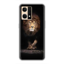 Чохол з картинкою ЛЕВ для Oppo Reno7 4G (VPrint) (Лев)