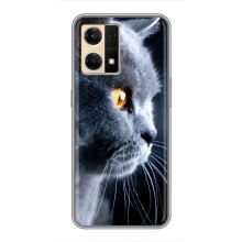 Чехол с милыми котиками на ОППО Рено7 4G (Брытанский кот)