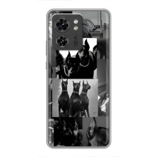 Чохол ДОБЕРМАН  для OPPO Reno 8 Pro 5G (Колаж Доберман)