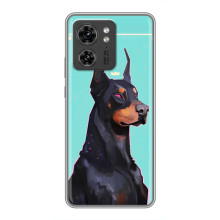 Чохол ДОБЕРМАН  для OPPO Reno 8 Pro 5G (Король доберман)