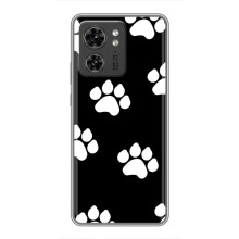 Бампер для OPPO Reno 8 Pro 5G з картинкою "Песики"