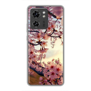 Чехол с принтом САКУРЫ на OPPO Reno 8 Pro 5G – Цветущая сакура